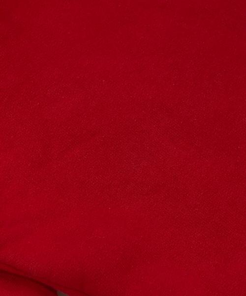 SUPREME（シュプリーム）SUPREME (シュプリーム) サテン アップリケ フーディー スウェットシャツ レッド サイズ:SIZE Sの古着・服飾アイテム