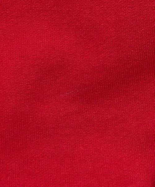 SUPREME（シュプリーム）SUPREME (シュプリーム) サテン アップリケ フーディー スウェットシャツ レッド サイズ:SIZE Sの古着・服飾アイテム