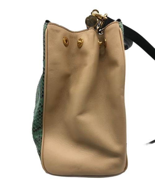 DOLCE & GABBANA（ドルチェ＆ガッバーナ）DOLCE & GABBANA (ドルチェ＆ガッバーナ) パイソンレザーバッグ グリーンの古着・服飾アイテム