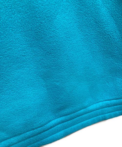 THE NORTH FACE（ザ ノース フェイス）THE NORTH FACE (ザ ノース フェイス) TRANS ANTARCTICA FLEECE JACKET ブルー サイズ:Lの古着・服飾アイテム