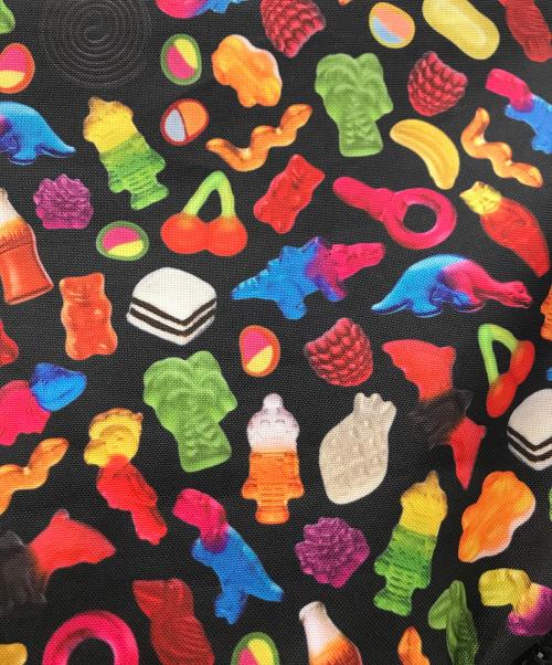 ear PAPILLONNER（イアパピヨネ）ear PAPILLONNER (イアパピヨネ) 撥水リュックサック マルチカラーの古着・服飾アイテム