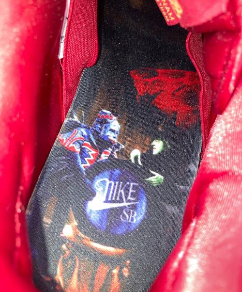 NIKE SB（ナイキエスビー）NIKE SB (ナイキエスビー) The Wizard of Oz Dunk Low 