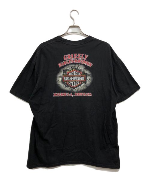 HARLEY-DAVIDSON（ハーレーダビッドソン）HARLEY-DAVIDSON (ハーレーダビッドソン) 両面プリントTシャツ ブラック サイズ:2XLの古着・服飾アイテム
