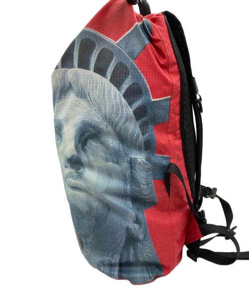THE NORTH FACE（ザ ノース フェイス）THE NORTH FACE (ザ ノース フェイス) SUPREME (シュプリーム) Statue of Liberty Waterproof Backpackの古着・服飾アイテム