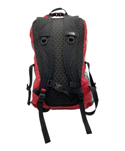 THE NORTH FACE（ザ ノース フェイス）THE NORTH FACE (ザ ノース フェイス) SUPREME (シュプリーム) Statue of Liberty Waterproof Backpackの古着・服飾アイテム