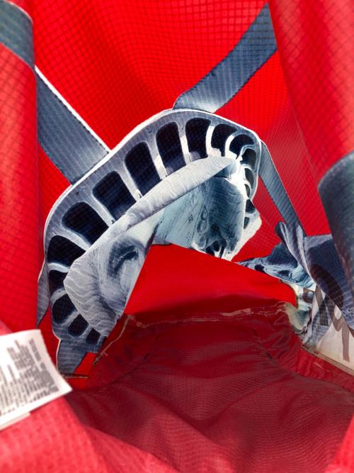THE NORTH FACE（ザ ノース フェイス）THE NORTH FACE (ザ ノース フェイス) SUPREME (シュプリーム) Statue of Liberty Waterproof Backpackの古着・服飾アイテム