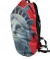 THE NORTH FACE (ザ ノース フェイス) SUPREME (シュプリーム) Statue of Liberty Waterproof Backpack：12000円