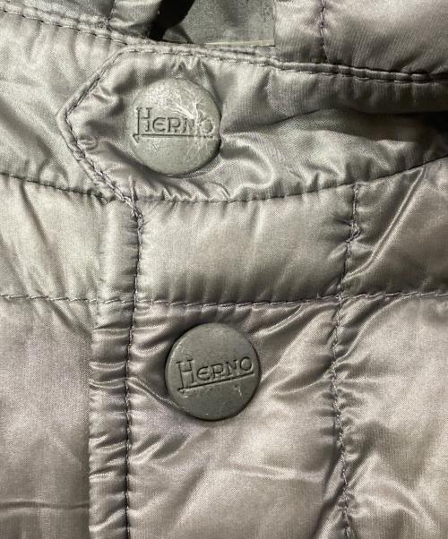 HERNO（ヘルノ）HERNO (ヘルノ) ダウンジャケット グレー サイズ:50の古着・服飾アイテム