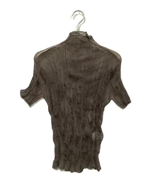 ISSEY MIYAKE（イッセイミヤケ）ISSEY MIYAKE (イッセイミヤケ) プリーツカットソー ブラウン サイズ:Mの古着・服飾アイテム