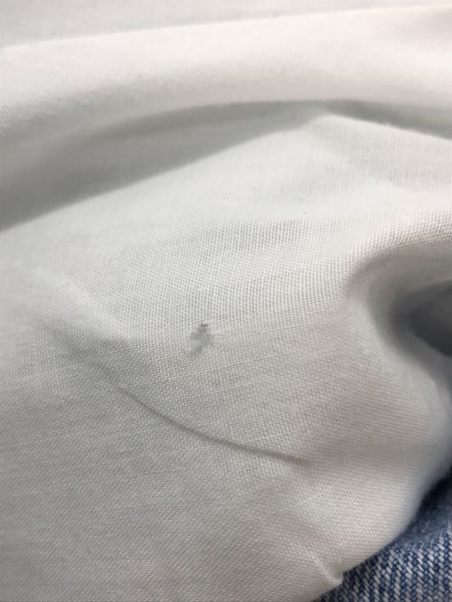 BEARDSLEY（ビアズリー）BEARDSLEY (ビアズリー) FRIPIER 裾カットオフ箔デニム インディゴ サイズ:FREEの古着・服飾アイテム