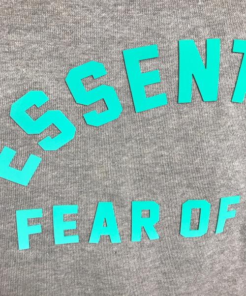 FOG ESSENTIALS（フィアオブゴッド エッセンシャル）FOG ESSENTIALS (フィアオブゴッド エッセンシャル) 半袖カットソー　ハーフスリーブカットソー　オーバーサイズ グレー×グリーン サイズ:XSの古着・服飾アイテム