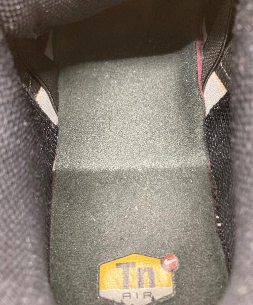 NIKE（ナイキ）NIKE (ナイキ) AIR MAX PLUS 3  エアマックス プラス 3 ブラック×グレー サイズ:US9.5の古着・服飾アイテム