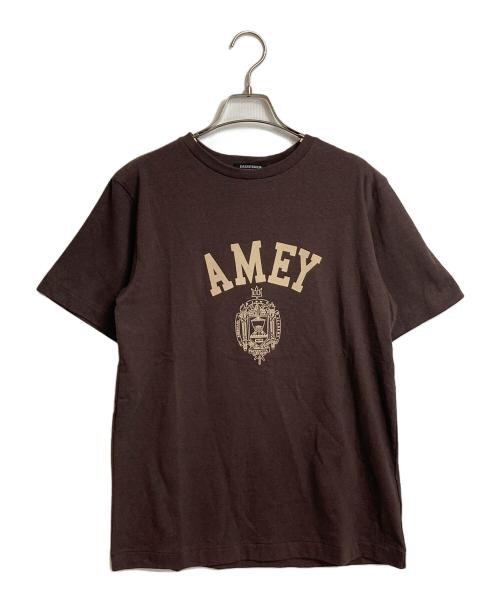 DRESSTERIOR（ドレステリア）DRESSTERIOR (ドレステリア) Americana (アメリカーナ) 【別注】カレッジTシャツ　コットンTシャツ ブラウンの古着・服飾アイテム