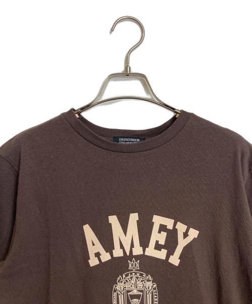 DRESSTERIOR（ドレステリア）DRESSTERIOR (ドレステリア) Americana (アメリカーナ) 【別注】カレッジTシャツ　コットンTシャツ ブラウンの古着・服飾アイテム