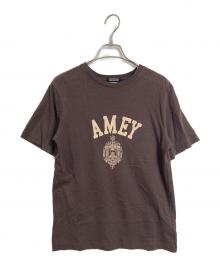 Americana×DRESSTERIOR（アメリカーナ×ドレステリア）の古着「カレッジtシャツ　半袖カットソー　Tシャツ　Tee  日本製」｜ブラウン