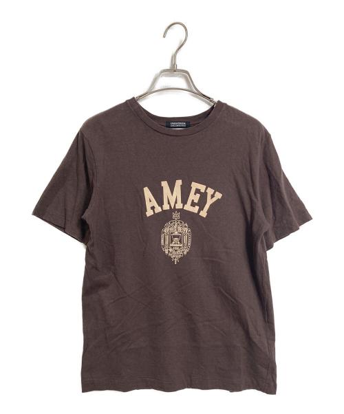 Americana（アメリカーナ）Americana (アメリカーナ) DRESSTERIOR (ドレステリア) カレッジtシャツ　半袖カットソー　Tシャツ　Tee  日本製 ブラウン サイズ:実寸参照の古着・服飾アイテム