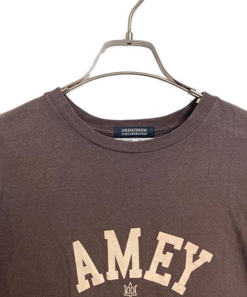 Americana（アメリカーナ）Americana (アメリカーナ) DRESSTERIOR (ドレステリア) カレッジtシャツ　半袖カットソー　Tシャツ　Tee  日本製 ブラウン サイズ:実寸参照の古着・服飾アイテム