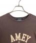 Americana (アメリカーナ) DRESSTERIOR (ドレステリア) カレッジtシャツ　半袖カットソー　Tシャツ　Tee  日本製 ブラウン サイズ:実寸参照：4000円