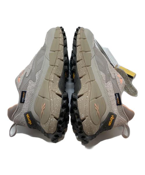 REEBOK（リーボック）REEBOK (リーボック) ZIG KINETICA 2.5 EDGE ベージュ/ムーンストーン サイズ:US7.5  UK6.5の古着・服飾アイテム