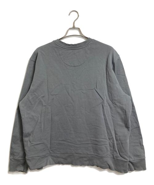 Patagonia（パタゴニア）Patagonia (パタゴニア) デイリー・クルーネック・スウェットシャツ グレー サイズ:Lの古着・服飾アイテム