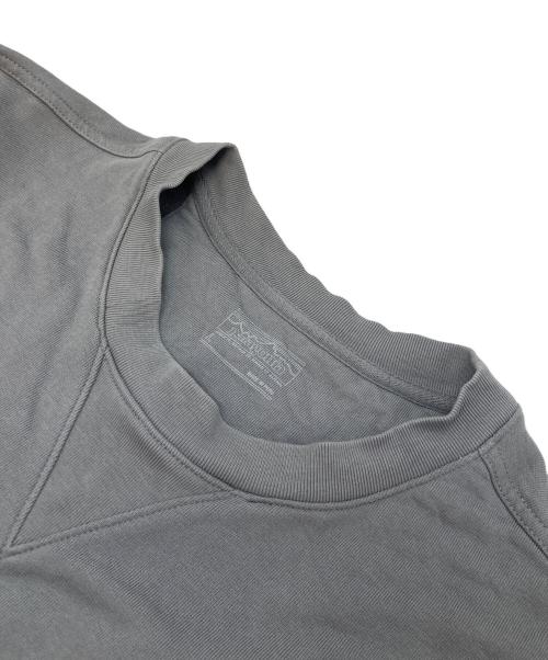 Patagonia（パタゴニア）Patagonia (パタゴニア) デイリー・クルーネック・スウェットシャツ グレー サイズ:Lの古着・服飾アイテム
