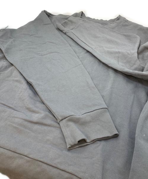 Patagonia（パタゴニア）Patagonia (パタゴニア) デイリー・クルーネック・スウェットシャツ グレー サイズ:Lの古着・服飾アイテム