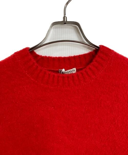 BEAUTY&YOUTH（ビューティーアンドユース）BEAUTY&YOUTH (ビューティーアンドユース) クルーネックニット　長袖ニット レッド サイズ:L 未使用品の古着・服飾アイテム