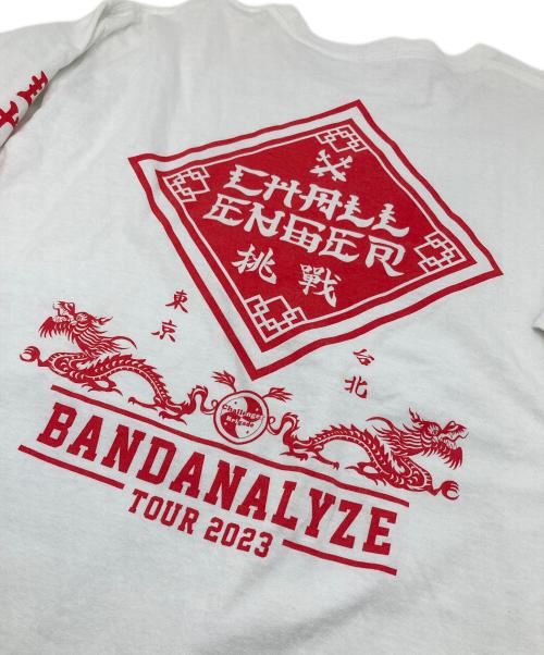 CHALLENGER（チャレンジャー）CHALLENGER (チャレンジャー) BD 2023 TOUR BANDANALYZE L/S TEE ホワイト サイズ:Lの古着・服飾アイテム