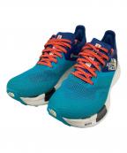 THE NORTH FACEザ ノース フェイス）の古着「サミットベクティブ」｜ブルー