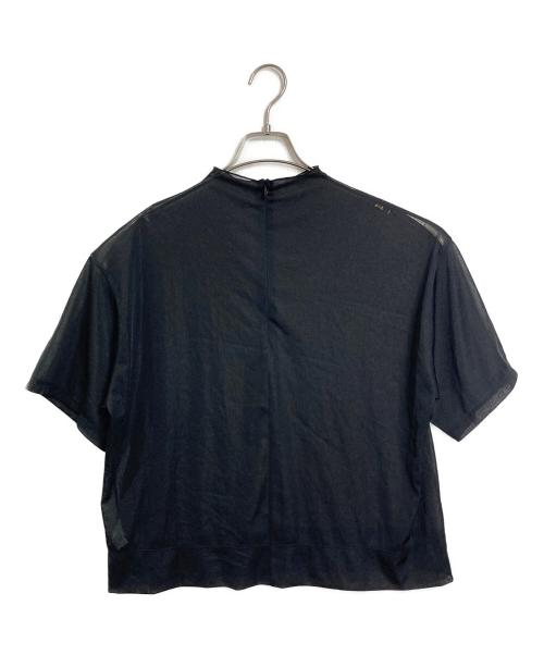 ebure（エブール）EBURE (エブール) シアーTシャツ　シアーカットソー ブラック サイズ:実寸参照の古着・服飾アイテム