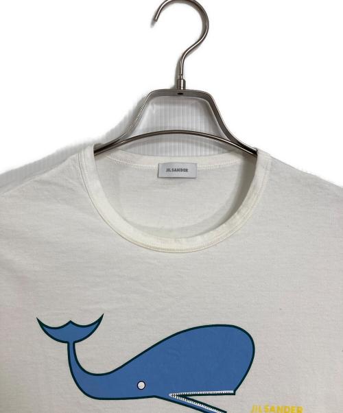 JIL SANDER（ジルサンダー）JIL SANDER (ジルサンダー) クジラプリントTシャツ　半袖カットソー　Tシャツ　Tee  イタリア製 ホワイト サイズ:Mの古着・服飾アイテム