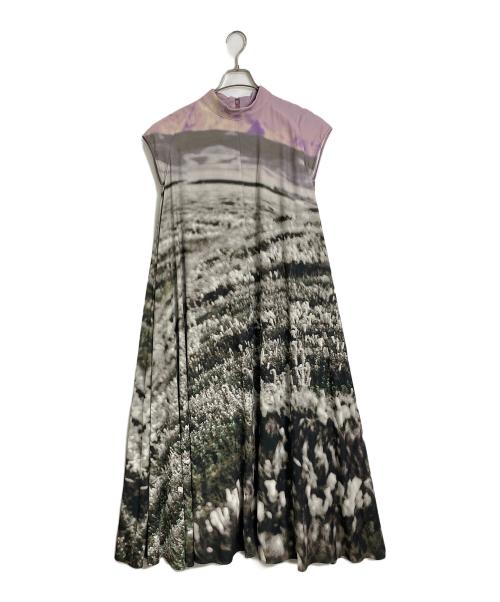 Ameri（アメリ）Ameri (アメリ) CAMILA FLARE DRESS  カミラフレアドレス　ロングドレス　マキシドレス　ロングワンピース　マキシワンピース　総柄 ピンク×グリーン サイズ:実寸参照の古着・服飾アイテム
