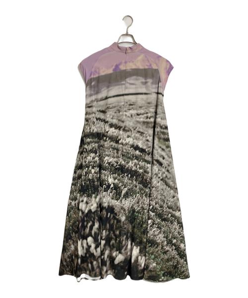 Ameri（アメリ）Ameri (アメリ) CAMILA FLARE DRESS  カミラフレアドレス　ロングドレス　マキシドレス　ロングワンピース　マキシワンピース　総柄 ピンク×グリーン サイズ:実寸参照の古着・服飾アイテム