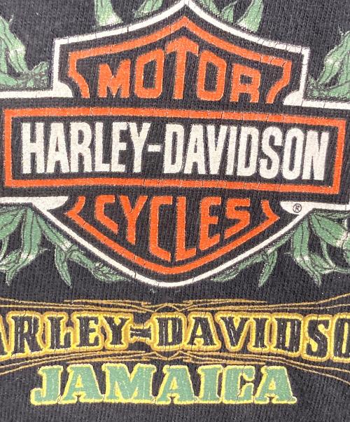 HARLEY-DAVIDSON（ハーレーダビッドソン）HARLEY-DAVIDSON (ハーレーダビッドソン) 【古着】プリントTシャツ　半袖カットソー　Tシャツ　Tee  メキシコ製 ブラック サイズ: Lの古着・服飾アイテム