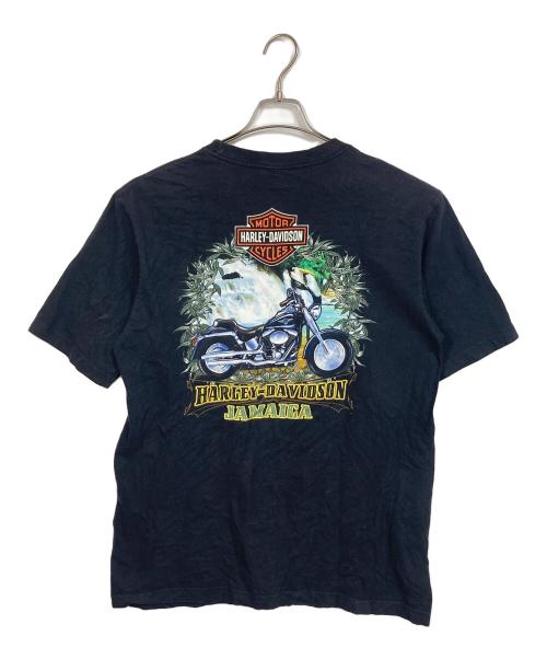 HARLEY-DAVIDSON（ハーレーダビッドソン）HARLEY-DAVIDSON (ハーレーダビッドソン) 【古着】プリントTシャツ　半袖カットソー　Tシャツ　Tee  メキシコ製 ブラック サイズ: Lの古着・服飾アイテム