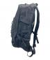 THE NORTH FACE (ザ ノース フェイス) HOT SHOT バッグパック　リュック　通勤 通学 仕事 出張 旅行 トラベル タウンユース ブラック サイズ:実寸参照：10000円