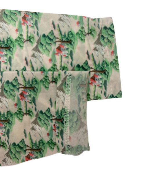 wataru tominaga（ワタル トミナガ）wataru tominaga (ワタル トミナガ) ロングスリーブシアー総柄カットソー グリーン×ホワイト サイズ:1の古着・服飾アイテム