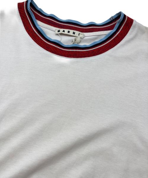 MARNI（マルニ）MARNI (マルニ) リブカラー Tシャツ ピンク サイズ:46の古着・服飾アイテム