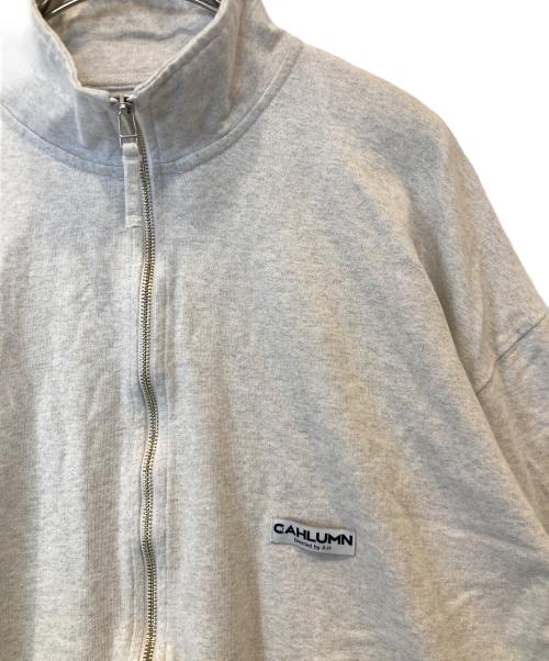 CAHLUMN（カウラム）CAHLUMN (カウラム) ハーフジップスウェット グレー サイズ:XLの古着・服飾アイテム