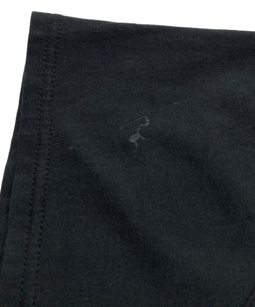 hysterics（ヒステリックス）hysterics (ヒステリックス) THE GHOST WOLVES/POLAR POWER ビッグT-SHシャツ ブラック サイズ:FREEの古着・服飾アイテム