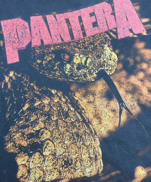 WINTERLAND（ウィンターランド）WINTERLAND (ウィンターランド) ヴィンテージバンドTシャツ ブラック サイズ:XLの古着・服飾アイテム