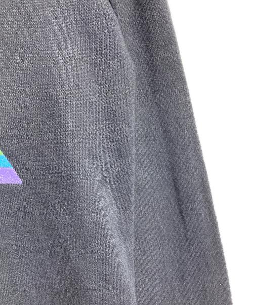 PINK FROYD（ピンクフロイド）PINK FROYD (ピンクフロイド) バンドラグランスウェット ブラック サイズ:Lの古着・服飾アイテム