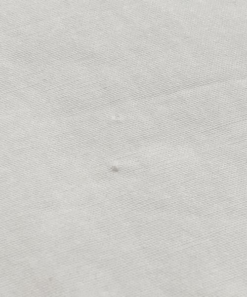 STUDIO NICHOLSON（スタジオ ニコルソン）STUDIO NICHOLSON (スタジオ ニコルソン) CASCO powder cotton bowling pleat collarless shirt ホワイト サイズ:XSの古着・服飾アイテム