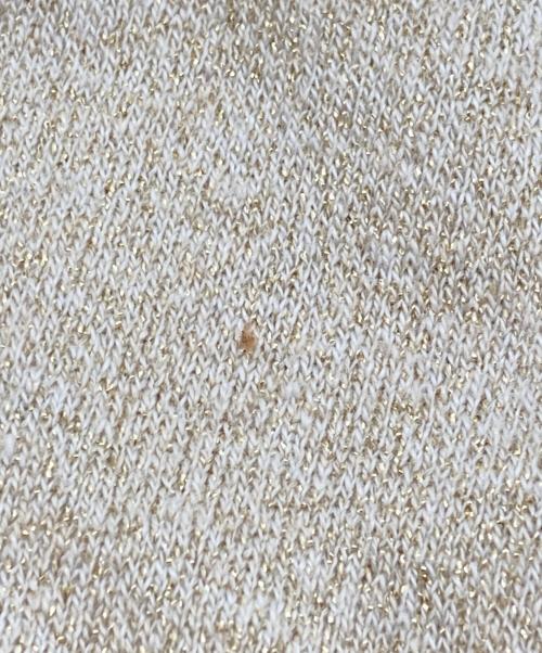 COMME des GARCONS HOMME PLUS（コムデギャルソンオムプリュス）COMME des GARCONS HOMME PLUS (コムデギャルソンオムプリュス) ラメニットカットソー ベージュ サイズ:Ｓの古着・服飾アイテム