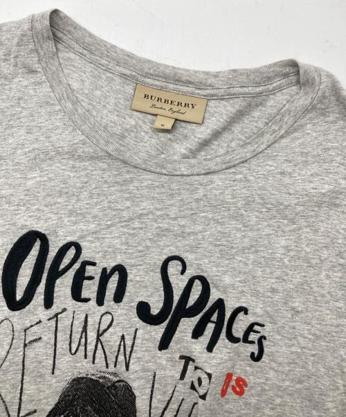 BURBERRY（バーバリー）BURBERRY (バーバリー) プリントTシャツ グレー サイズ:Mの古着・服飾アイテム