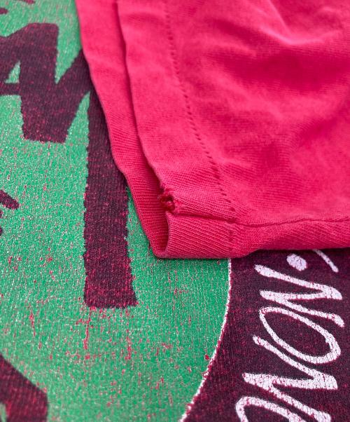 stussy（ステューシー）stussy (ステューシー) 80sラスタライオンプリントTシャツ レッド サイズ:	SIZE Lの古着・服飾アイテム