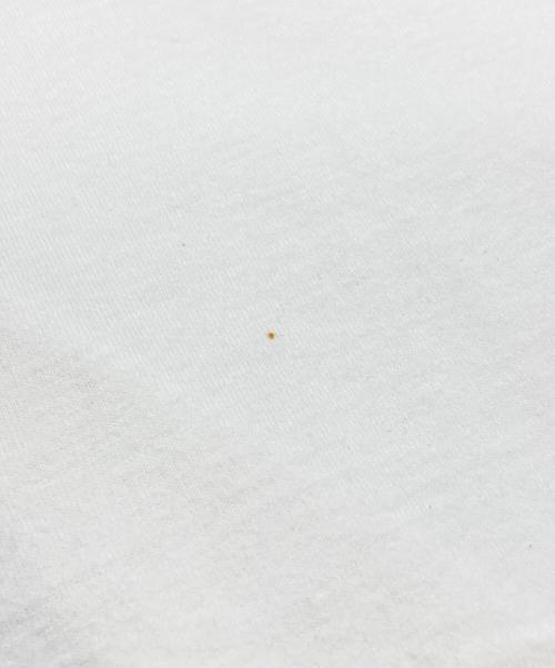 FRUIT OF THE LOOM（フルーツオブザルーム）FRUIT OF THE LOOM (フルーツオブザルーム) ムービーTシャツ ホワイト サイズ:Lの古着・服飾アイテム