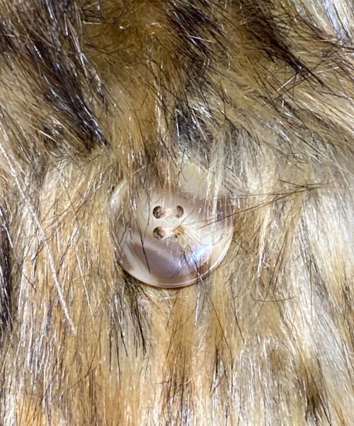 VIAVANDA（ヴィアヴァンダ）VIAVANDA (ヴィアヴァンダ) フェイクファージャケット ベージュ サイズ:Freeの古着・服飾アイテム