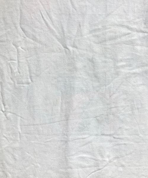 SAINT MICHAEL（セントマイケル）SAINT MICHAEL (セントマイケル) SW SS TEE/VEGES/ベジTEE ホワイト サイズ:XXXLの古着・服飾アイテム