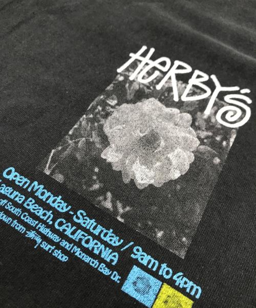 stussy（ステューシー）stussy (ステューシー) Herby's Dyed Tee ブラック サイズ:Mの古着・服飾アイテム